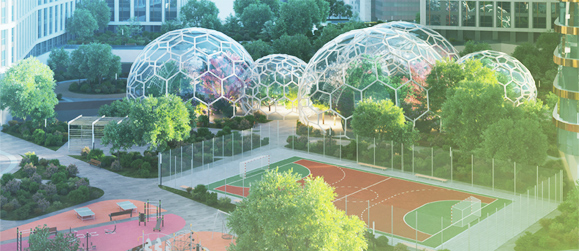 500 гектаров парковых зон 