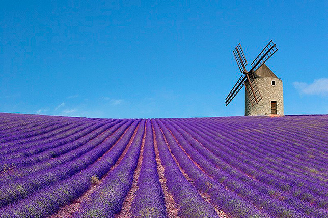 Прованс, Франция