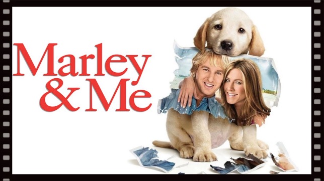 Фильм «Марли и я» 2008 года заставил нескольких гонщиков расчувствоваться. Как минимум Нико Хюлкенберга и Лэнса Стролла