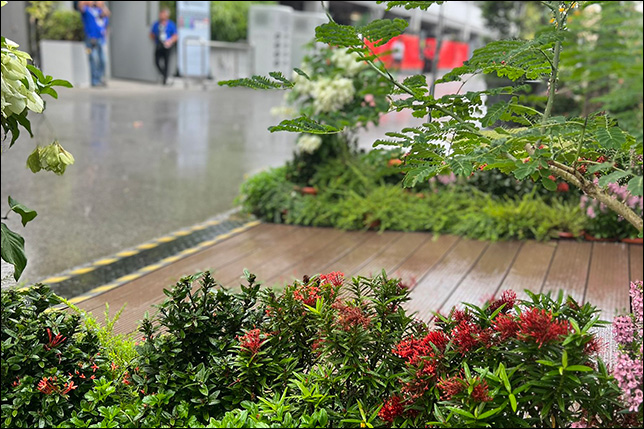 Дождь в Сингапуре. Фото Mercedes