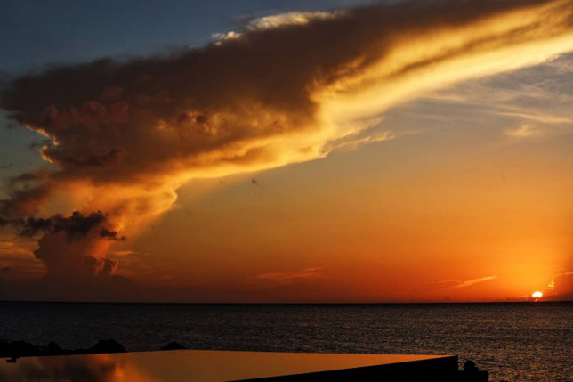 Фотография Льюиса Хэмилтона для аукциона Zoom