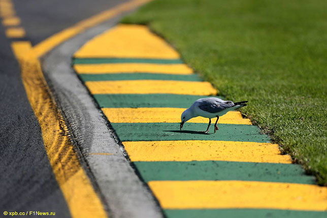 Участок трассы в Альберт-парке