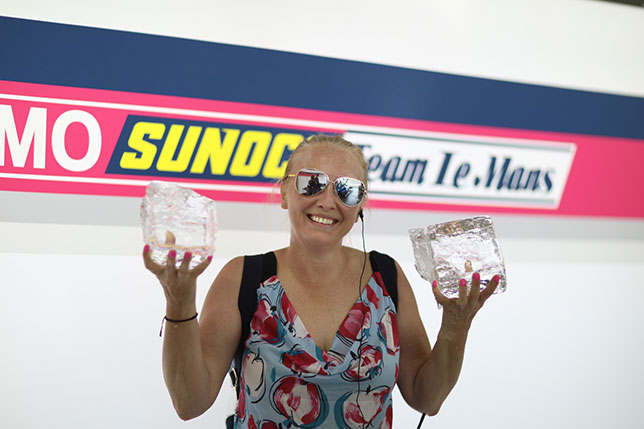 Светлана Стрельникова