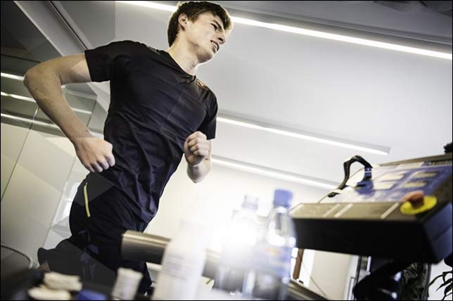 Макс Ферстаппен