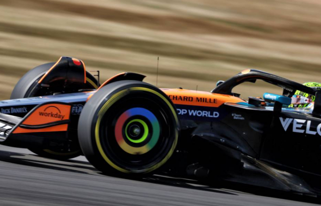Резина Medium на McLaren Ландо Норриса, показавшего лучшее время пятницы, фото XPB