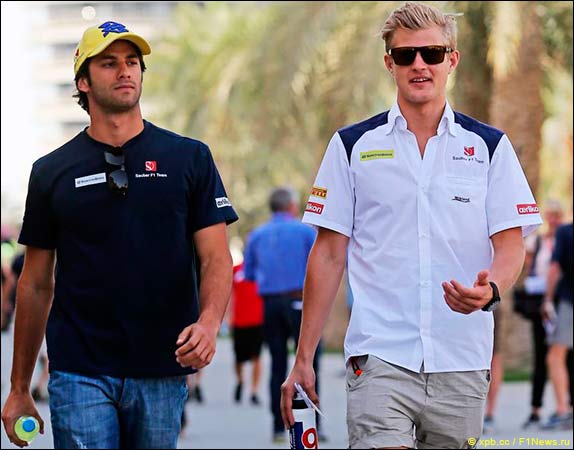 Фелипе Наср и Маркус Эриксон