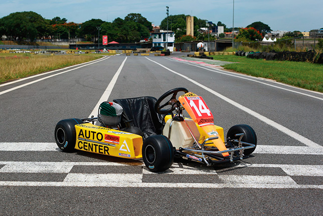 Карт Айртона Сенны, выставленный на торги. Фото Sotheby's
