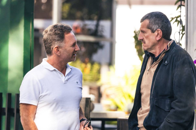 Кристиан Хорнер и Гюнтер Штайнер, фото XPB